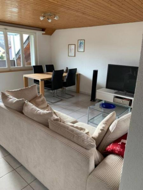 Sunny private Apartment in an amazing valley Wila